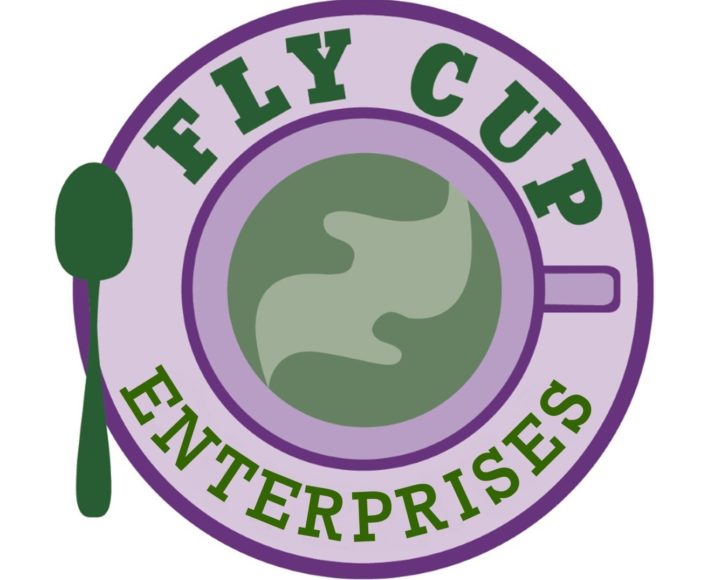 Update To Fly Cup